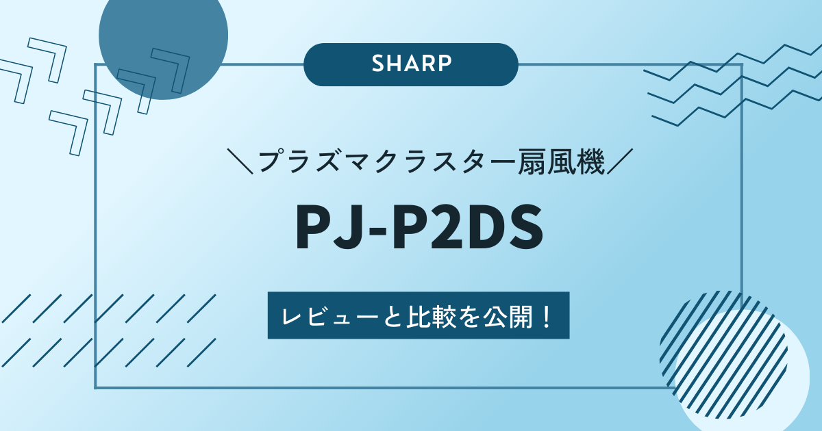 PJ-P2DSのレビュー